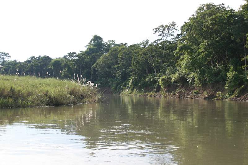 India & Nepal 2011 - 0578